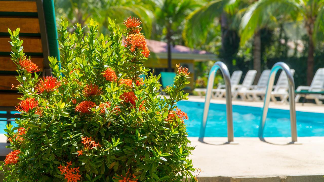 Hotel Isolina Beach Potrero  Eksteriør billede